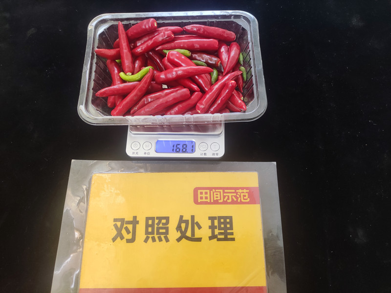 9月26日对照整株鲜果重：168.1g，亩产336kg_副本.jpg